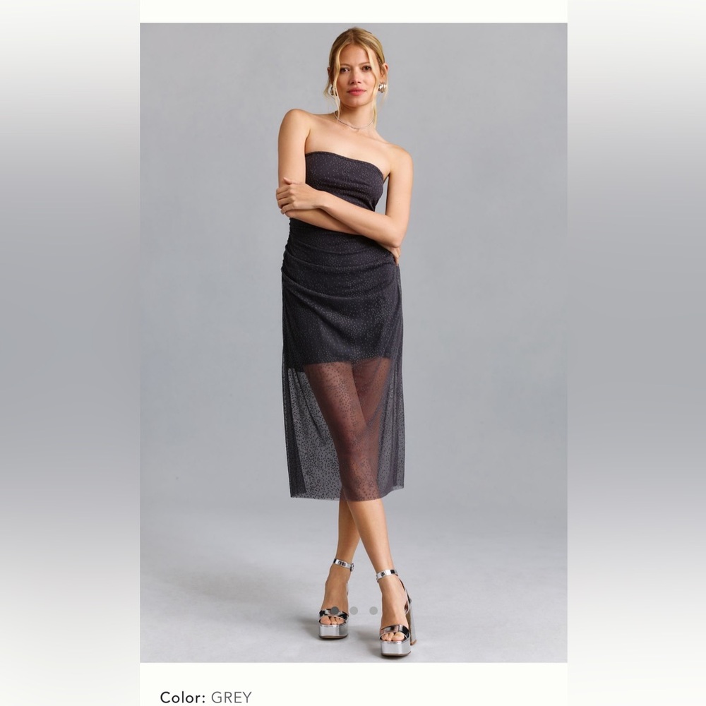 Anthropologie Sheer Ruched Shimmer Dress
